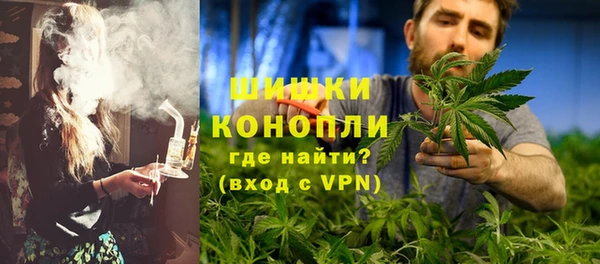 spice Вяземский